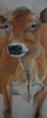 /album/galerie-de-photos-ami-animaux/daisy-png/