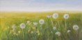 /album/galerie-de-photos-peintures/pissenlits-jpg/